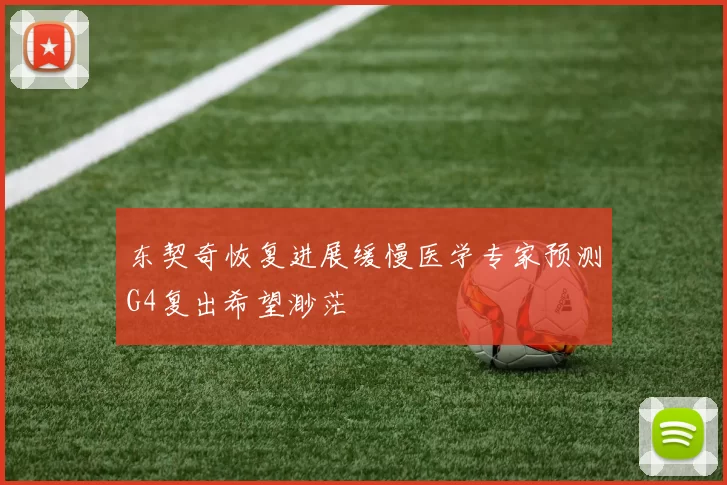 东契奇恢复进展缓慢医学专家预测G4复出希望渺茫