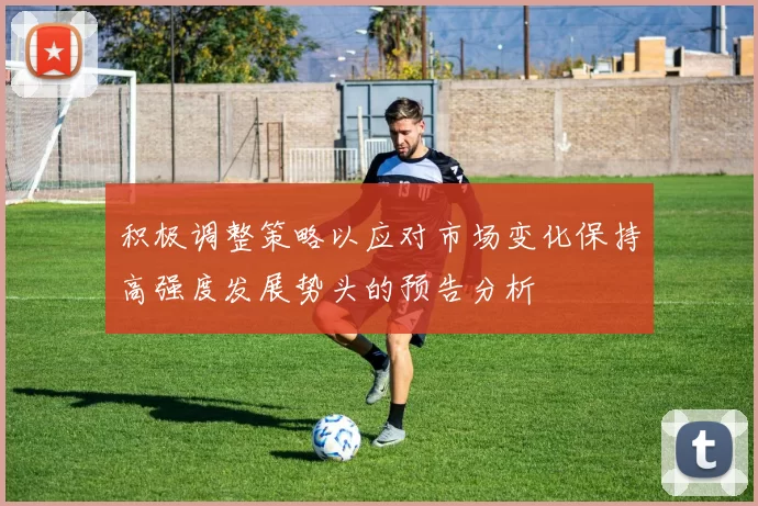 积极调整策略以应对市场变化保持高强度发展势头的预告分析